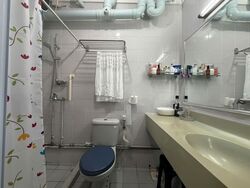 Blk 520 Pangshan Valley (Bukit Panjang), HDB Executive #569565651